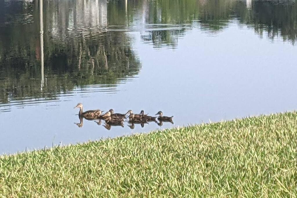 Port Saint Lucie A Little Piece Of Heaven- Peaceful Lake View Apartment- 1 Min From I95 And Turnpike Port St. Lucie المظهر الخارجي الصورة